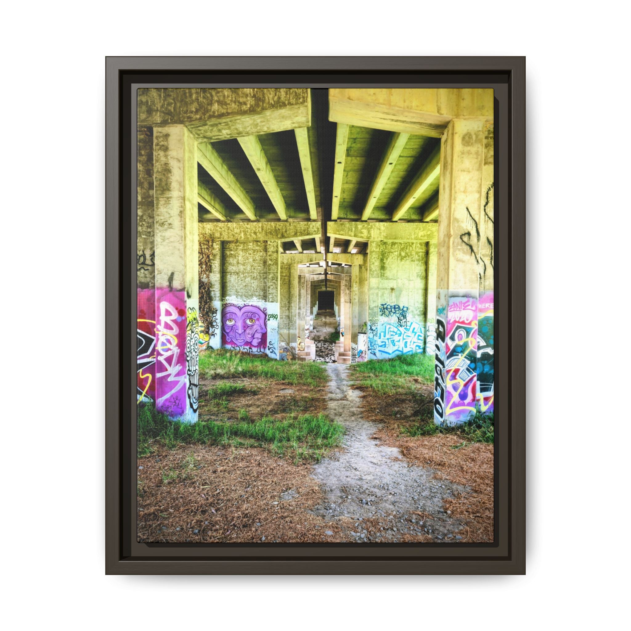 Framed Matte Canvas - Urban Bridge Graffiti Wall Art