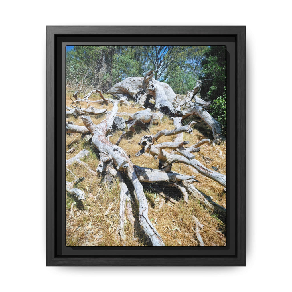 Framed Matte Canvas - Fallen Ghost Tree - Nature Wall Art