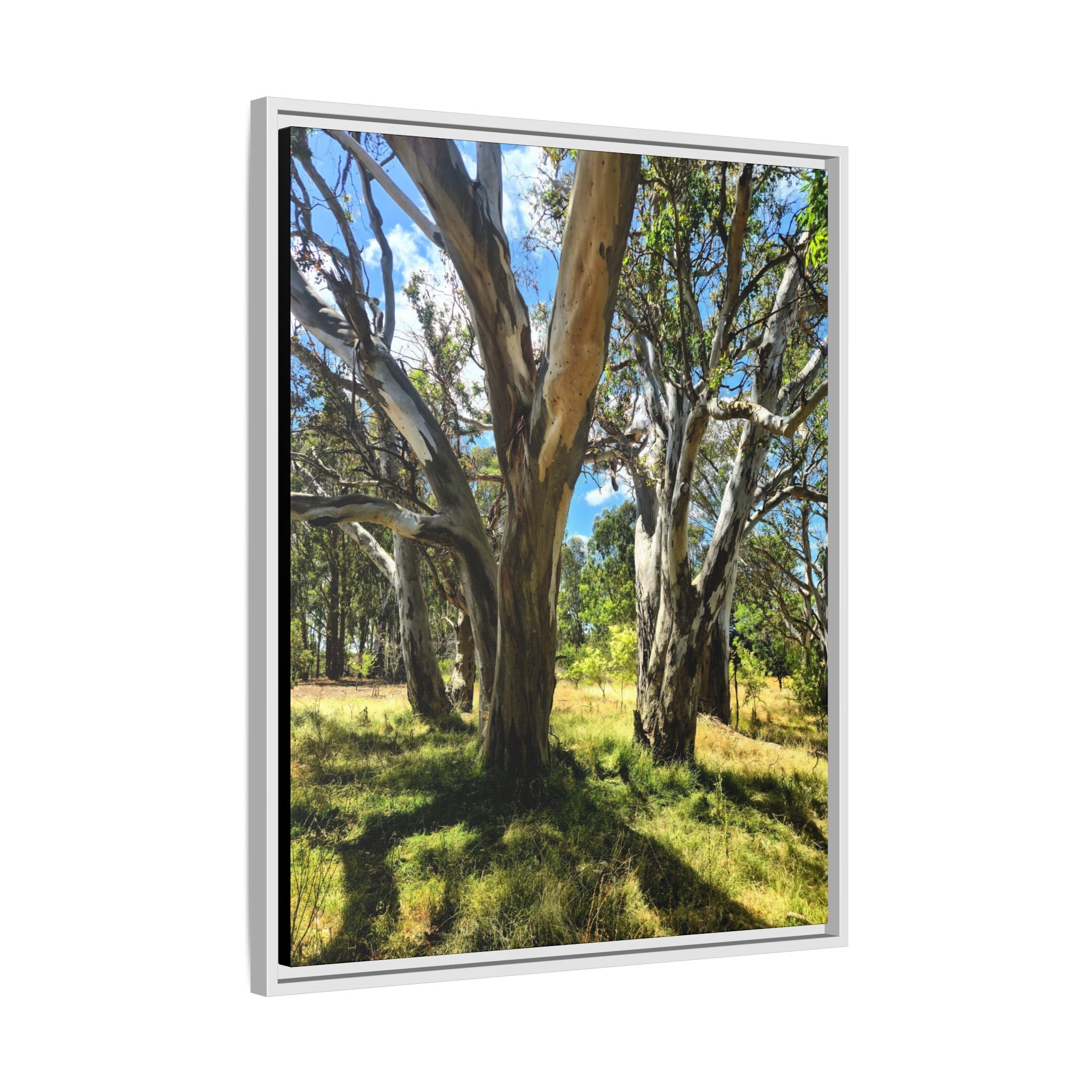 Framed Matte Canvas - Australian Bush Wall Art