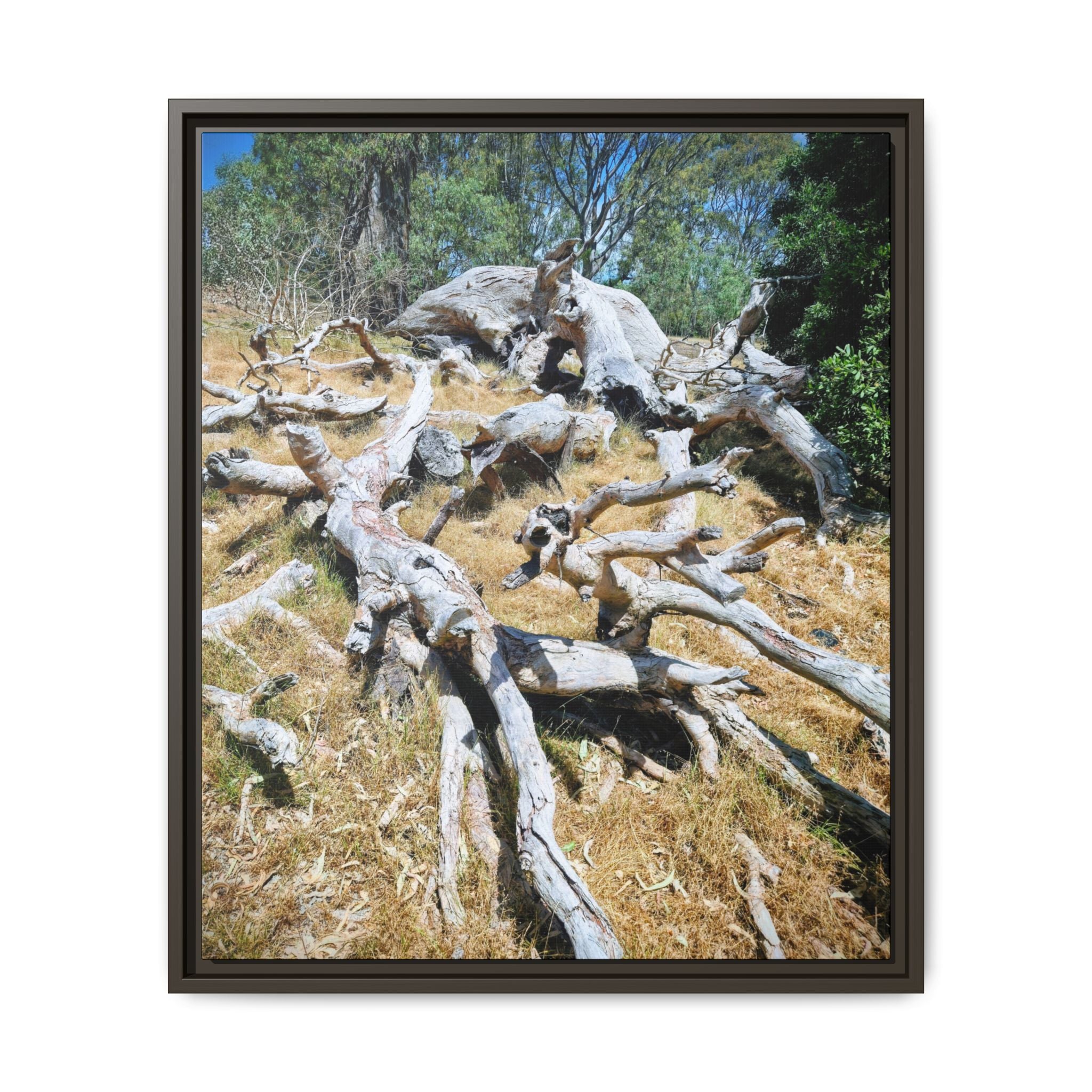 Framed Matte Canvas - Fallen Ghost Tree - Nature Wall Art