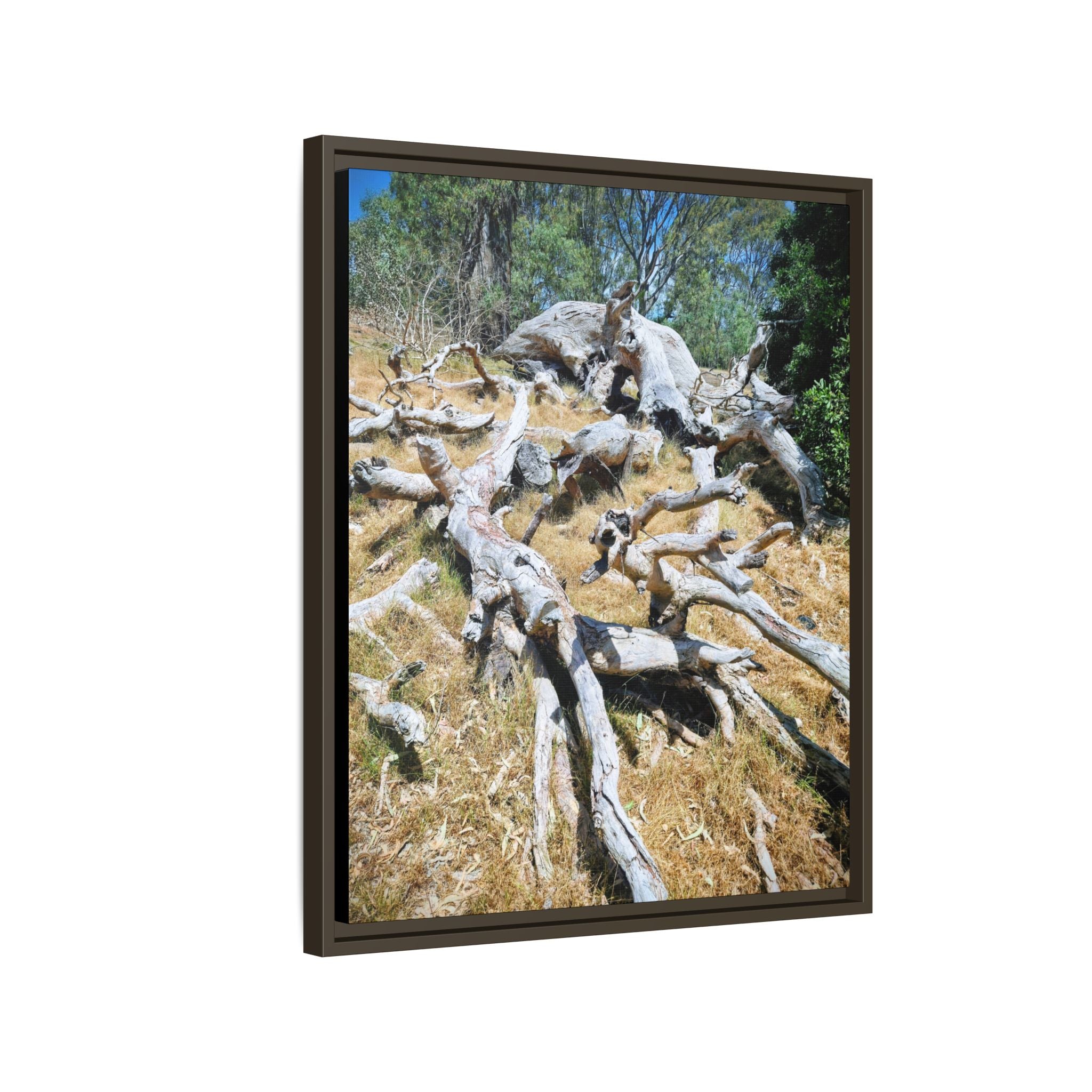 Framed Matte Canvas - Fallen Ghost Tree - Nature Wall Art