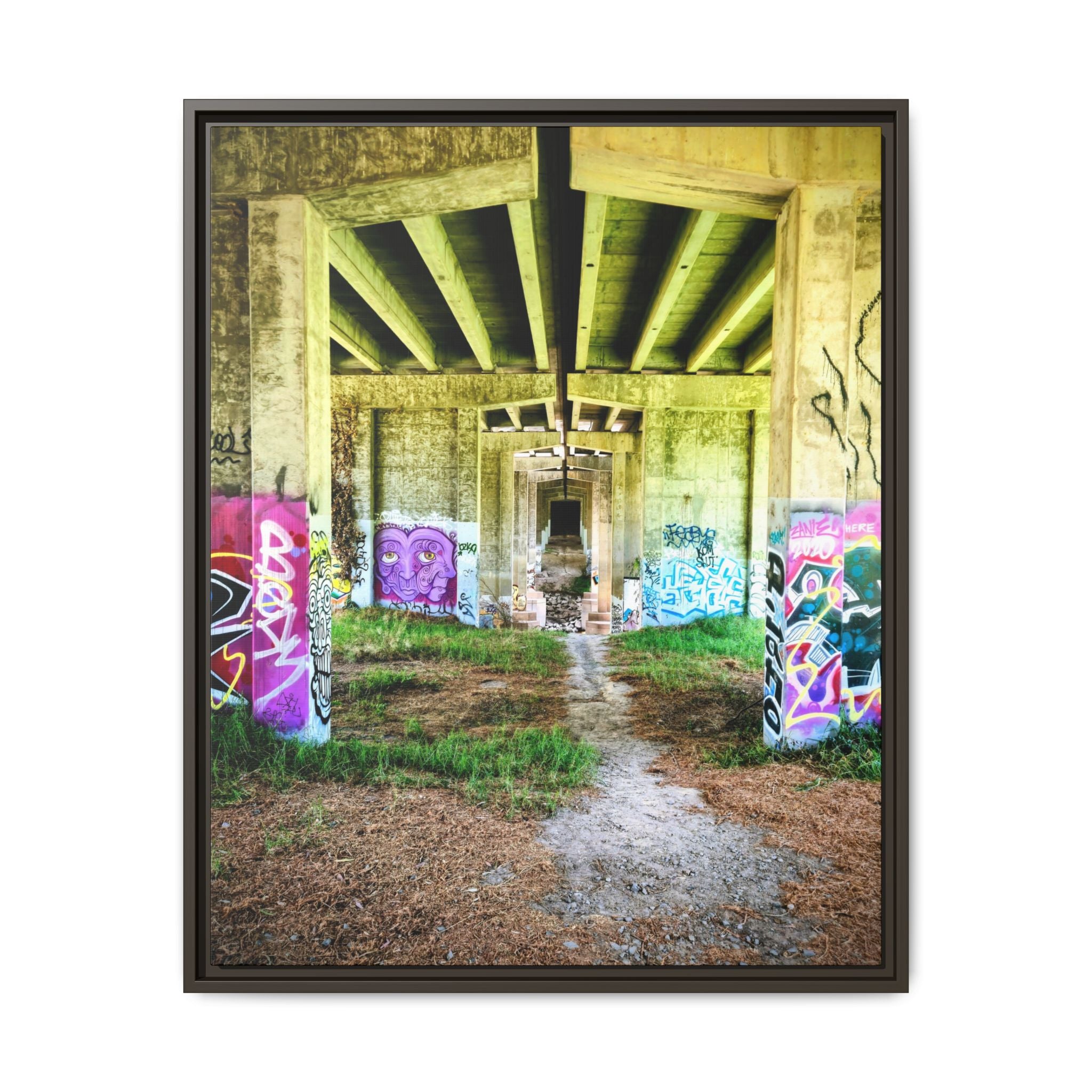 Framed Matte Canvas - Urban Bridge Graffiti Wall Art