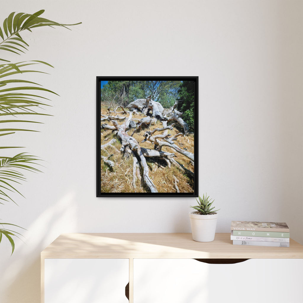 Framed Matte Canvas - Fallen Ghost Tree - Nature Wall Art