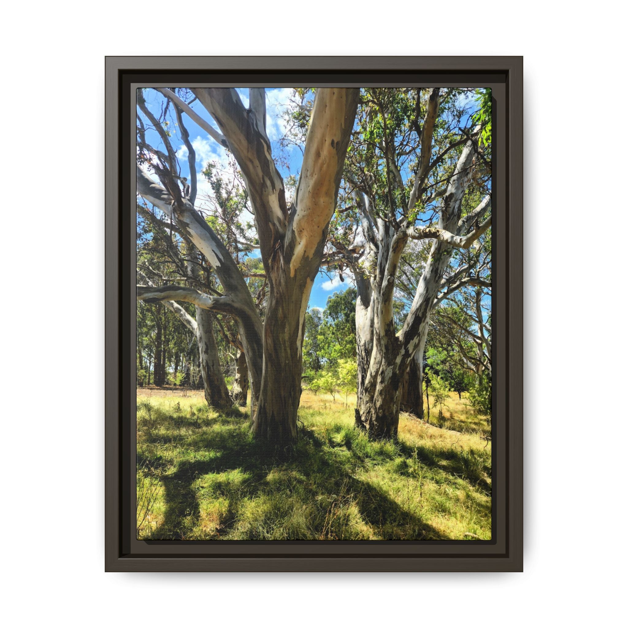 Framed Matte Canvas - Australian Bush Wall Art