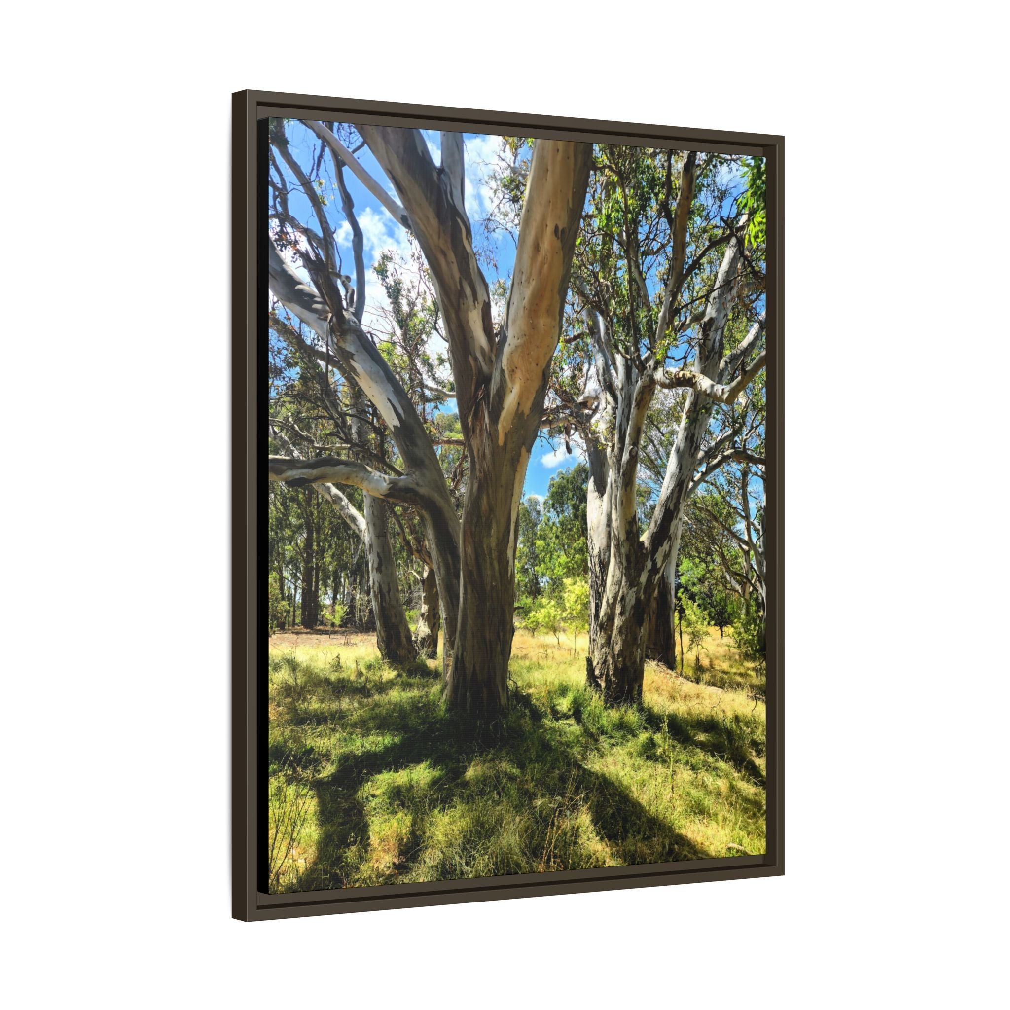Framed Matte Canvas - Australian Bush Wall Art