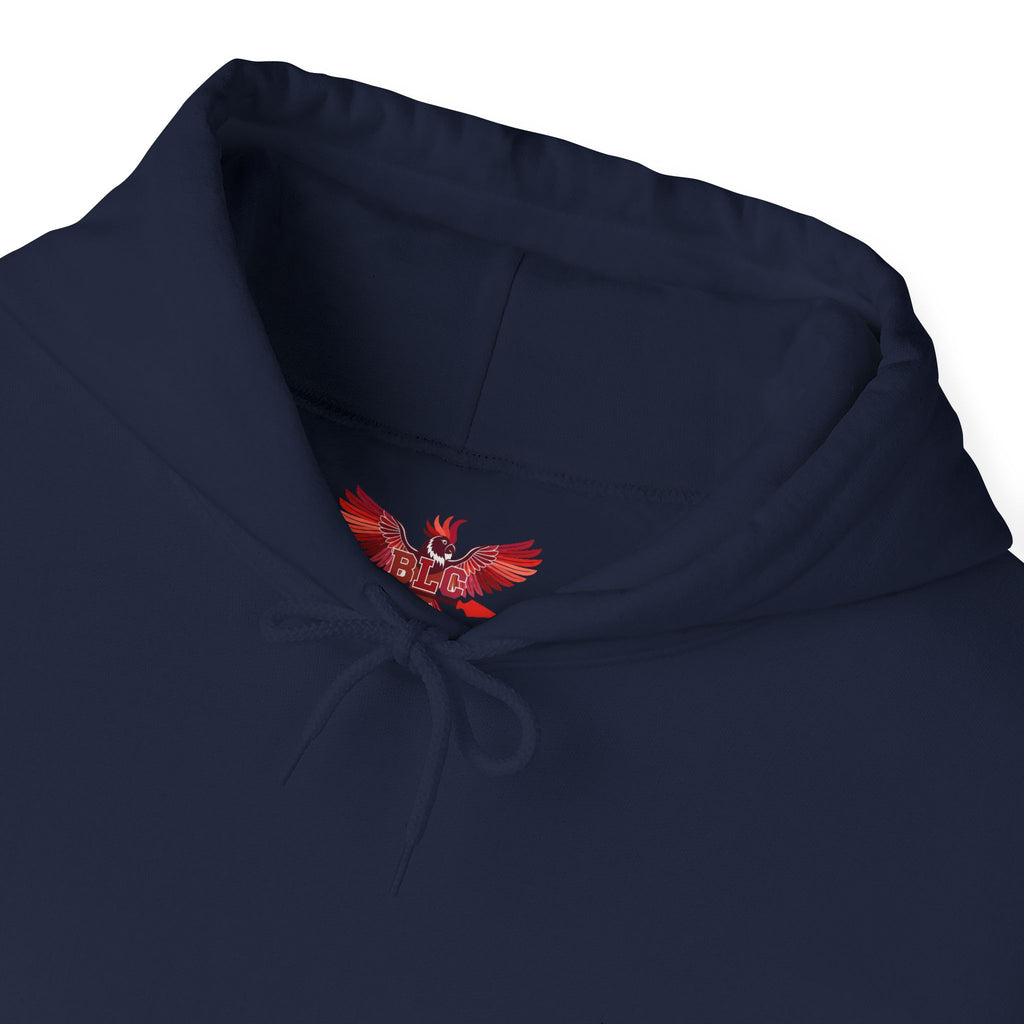 Embroidered Designer Hoodie - Boutique Lifestyle Collective